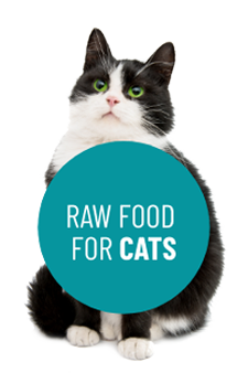 Raw food for Cats