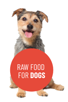 Raw food for Dogs